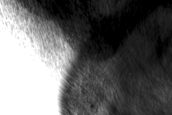 Particle Smoke Photoshop Brushes