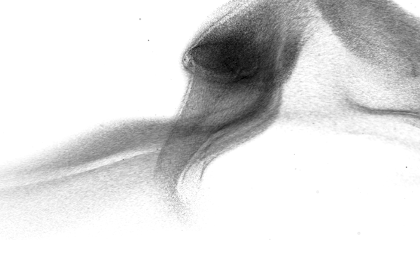 Particle Smoke Photoshop Brushes